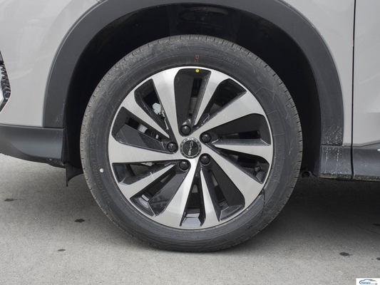 Tech Heating Electric SUV 175km/h Max Speed 5 portas 5 lugares SUV com classificação de segurança 5 estrelas