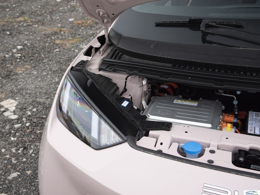 305Km de alcance Carro elétrico compacto BYD 2024 Glory versão com capacidade elétrica pura