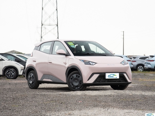 305Km de alcance Carro elétrico compacto BYD 2024 Glory versão com capacidade elétrica pura