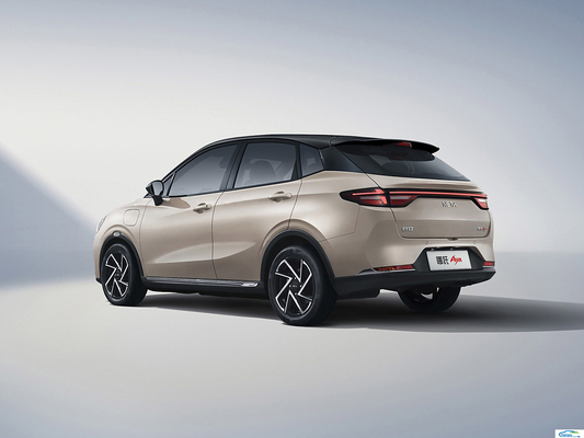 2024 Neta Aya 401 318 Lite Hatchback Elétrico Veículo de Energia