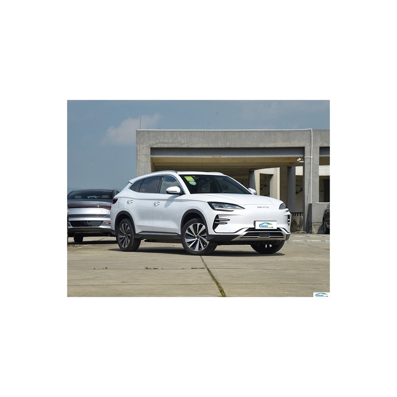 Tech Heating Electric SUV 175km/h Max Speed 5 portas 5 lugares SUV com classificação de segurança 5 estrelas